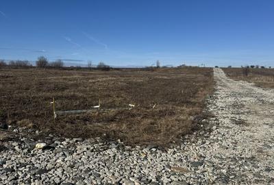 Spațiu comercial, în Mohu - 8