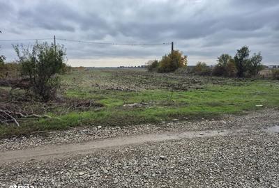 Teren de 820 mp, în Balotești