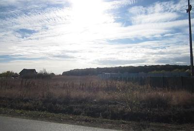 Teghes-Caragea Voda - 17