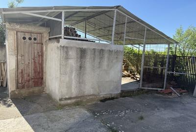 Casă cu 4 camere în Zăbrani - 2