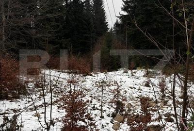 Teren unic, exclusivist  4000 mp, in inima muntilor, Sinaia - 10