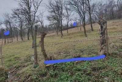 Teren de 800 mp, în General Berthelot - 1