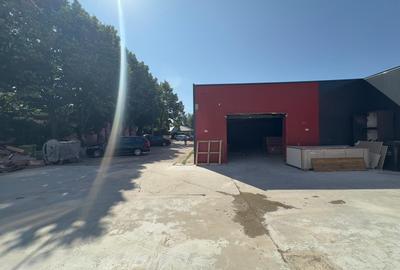 Spațiu comercial, de 195 mp, în Copou - 6