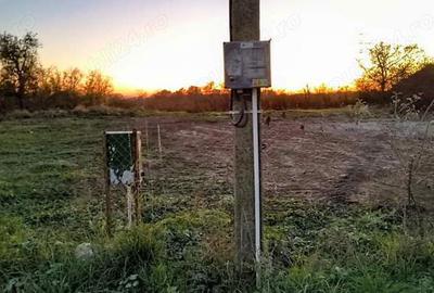 Teren de 415 mp, în Lăzărești (Moșoaia) - 5