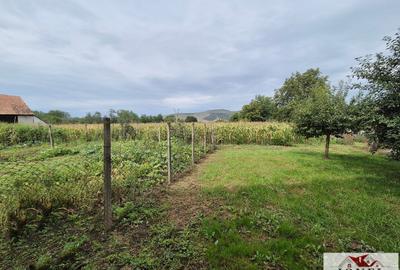 Casa de vanzare in Mihalt - Obreja Casa de vanzare in Mihalt - Obreja - 10