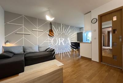 APARTAMENT PE 2 NIVELURI CU 2 CAMERE DE VANZARE | ZONA FRUNZISULUI - 8