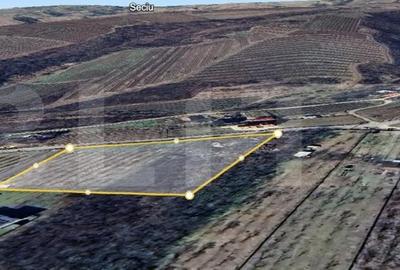 Teren de 2618 mp, în Plopu - 1