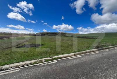 Teren de 2500 mp, în Jelna - 2