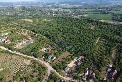 OPORTUNITATE PENTRU DEZVOLTATORI Teren de vanzare Sa... - 10