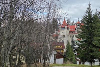 Vanzare vila Poiana Brasov - 1