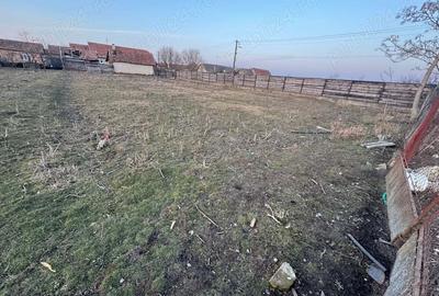 Casa de vanzare Nadab - 8