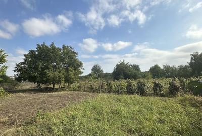 Teren de 1655 mp, în Aroneanu - 5