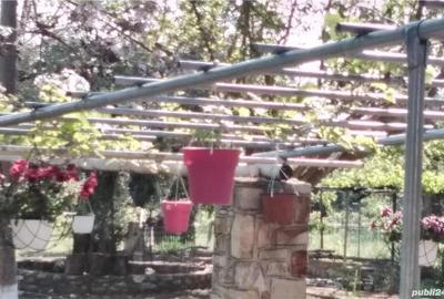 Casă cu 2 camere cu Teren 500 Mp în Central - 4