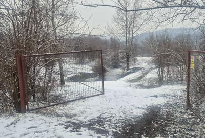 Teren de 9000 mp, în Păușești-Măglași - 6