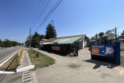 Casă individuală cu 4 camere cu Teren 4379 Mp în Giubega - 3