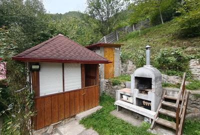Casa de vanzare la munte! - 2