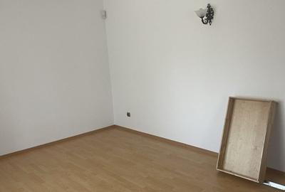 Vila individuala 7 camere de vanzare/inchiriere Iancu Nicolae - 14