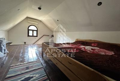 Casa individuala, oportunitate pentru investitie, zona Steaua - 4