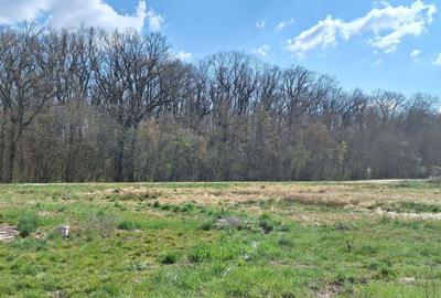 Teren Construcții intravilan de 707 mp, în Dumbrăvița - 2