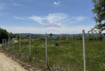 Teren de 55600 mp, în Codru Butesii - 17