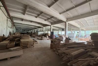 Inchiriere complex industrial multifunc?ional pozi?ie strategica, Targu Jiu - 5