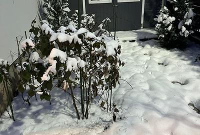 Apartament cu 3 camere decomandat, mobilat în Sud - 19