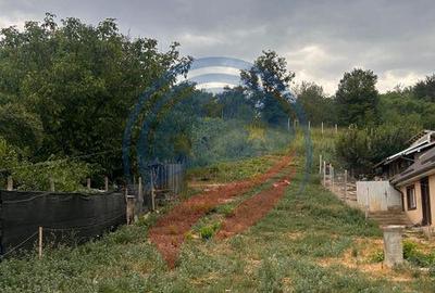 Teren de vanzare in Breasta - 2