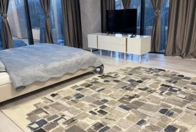 Apartament cu 2 camere decomandat, mobilat în Rovine - 5