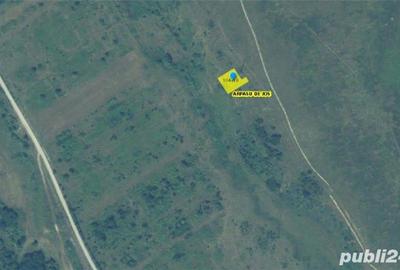 Teren de 18800 mp, în Arpașu de Sus - 5