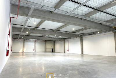 Hala industriala moderna – 1.162,05 mp depozit | Arad - 6