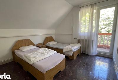 Spațiu comercial, de 2,100 mp, în Borș - 12