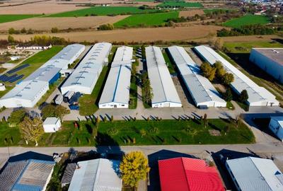 Hala de inchiriat in Satu Mare I Parc Industrial ARELI I 900 mp - 5