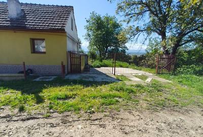 Casă cu 2 camere în Săcădate - 2
