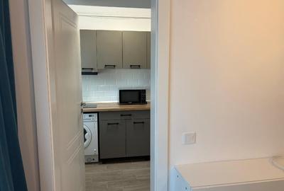 Apartament de închiriat cu 1 camere decomandat –  COPOU - 11