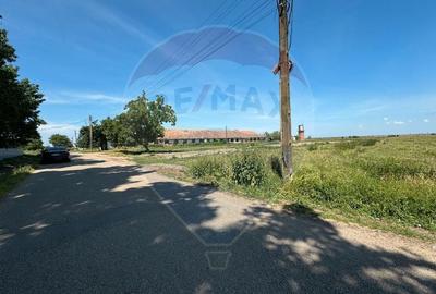 Teren intravilan de 11404 mp, în Biharia - 3