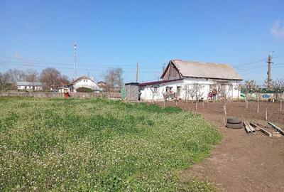 Casă cu 3 camere cu Teren 3200 Mp în Plopeni - 2