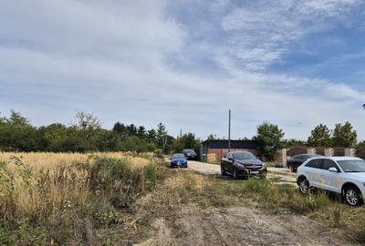 Teren intravilan 1000 mp - Domnesti - 3