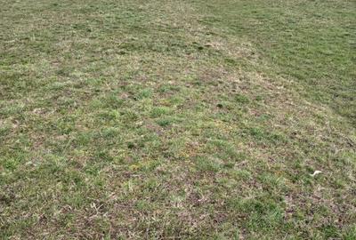 Spațiu comercial, în Cristian - 4