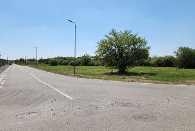 Teren pentru PUZ Locuinte Colective I Calea Lugojului I - 7