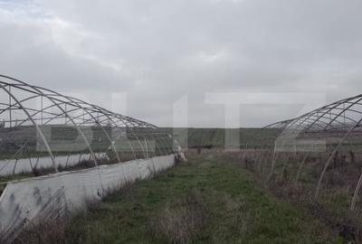 Teren agricol extravilan de 11500 mp, în Exterior Vest - 4