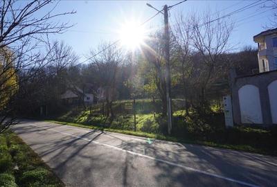 Teren de vanzare in Leamna de Jos - 6