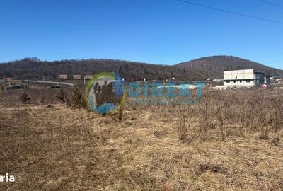 Spațiu comercial, în Sărățel - 8