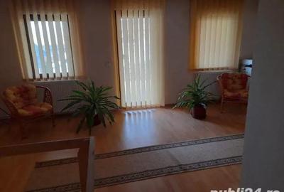 Casă cu 9 camere în Turnișor - 5