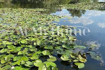 OPORTUNITATE INVESTITIE, TEREN 2000MP,  PROIECT CARTIER VILE, PONTON, CLUB - 6