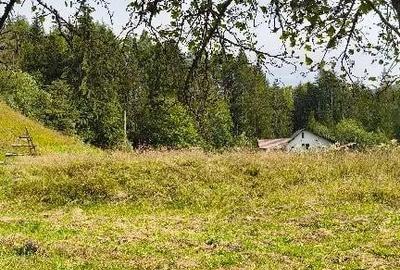 Teren de 4080 mp, în Valea Doftanei - 3