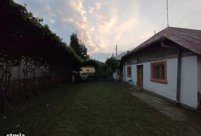 Casă cu 4 camere cu Teren 1400 Mp în Sud - 4