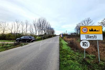 Teren intravilan curti-constructii, industrial, Autostrada A1 - km 62 - 3