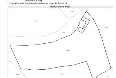 Teren intravilan 6.229 mp Șuncuiuș – râu, izvor, ideal business turistic - 7