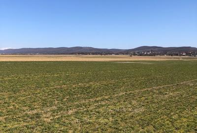 Teren extravilan de 4000 mp, în Mărăcineni - 18