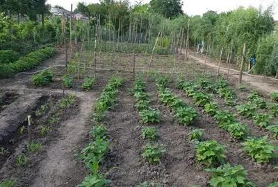 Vand casa la rosu si teren T.Vladimirescu,Galati - 10